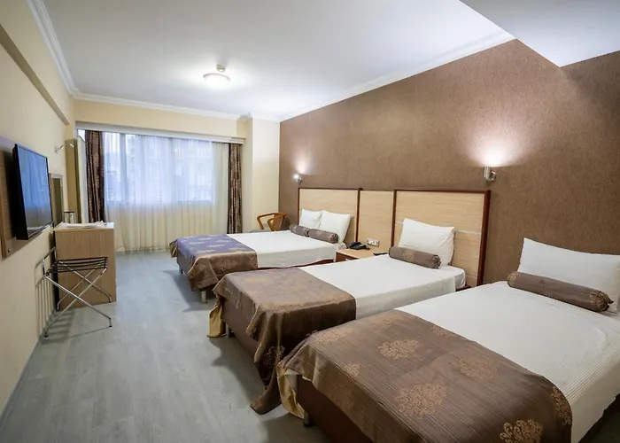 Hotel Halley 3*